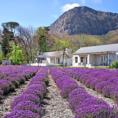 Lavender Farm Boutique Guest House Franschhoek Exterior photo