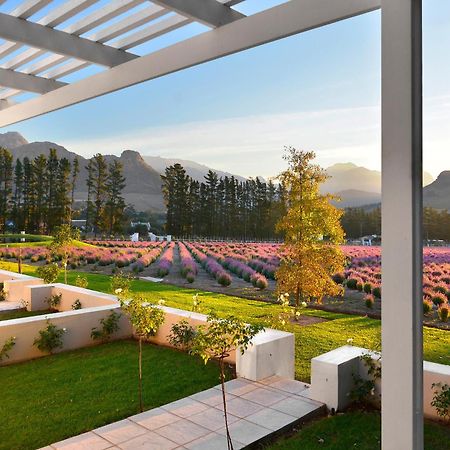 Lavender Farm Boutique Guest House Franschhoek Exterior photo