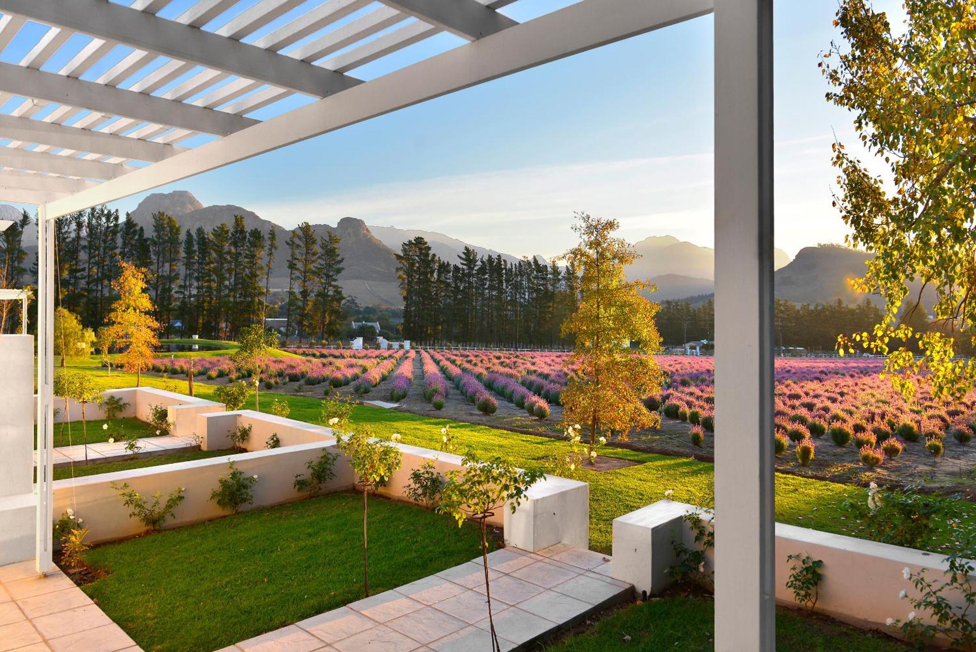Lavender Farm Boutique Guest House Franschhoek Exterior photo
