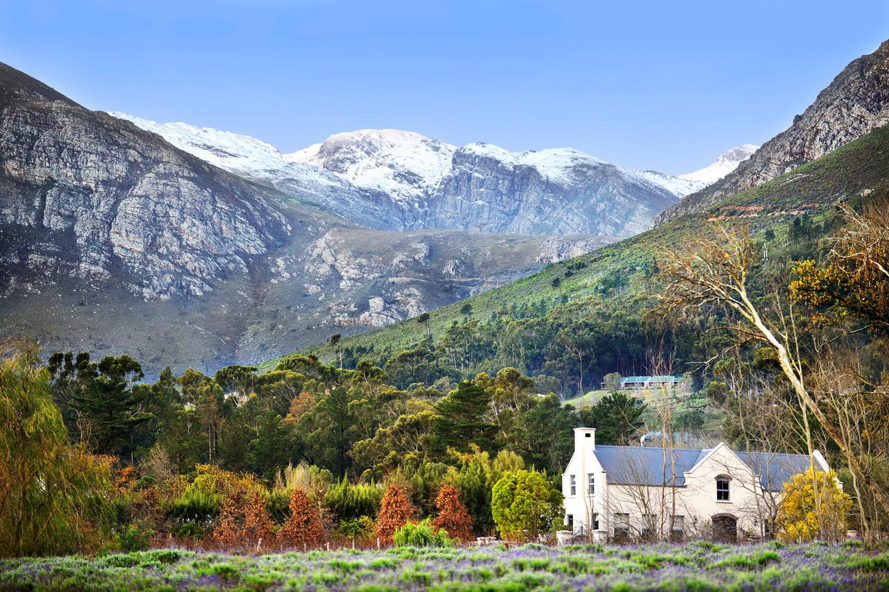 Lavender Farm Boutique Guest House Franschhoek Exterior photo