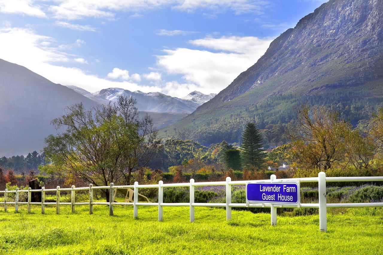 Lavender Farm Boutique Guest House Franschhoek Exterior photo